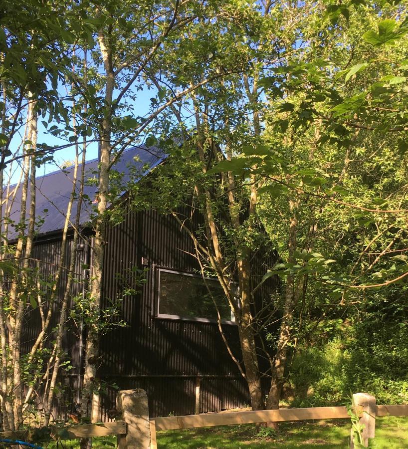 Alder Cabin Κίλκενι Εξωτερικό φωτογραφία